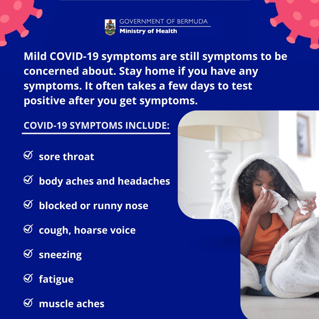 Bermuda Government tweet media