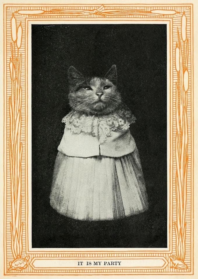 The Public Domain Review tweet media