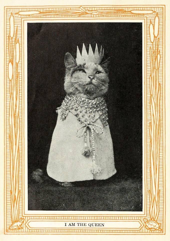 The Public Domain Review tweet media