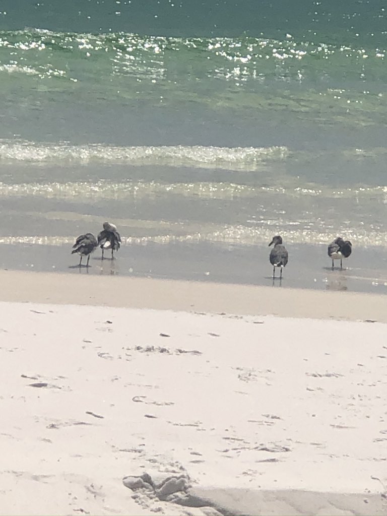 Yvonne Kelly🍄 on Twitter 