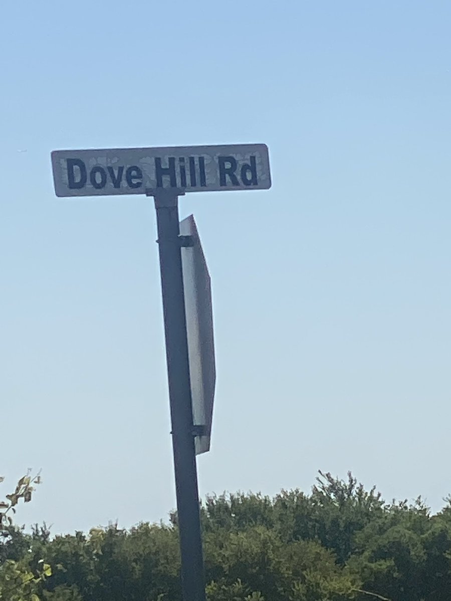 Amanda Batson (@abattyteacher) on Twitter photo Just like the white winged Dove (Hill Road) Sings a song…#clesbestyearyet <a href="/lisarcrosslin/">Lisa Crosslin, EdD</a> <a href="/ClaraLoveES/">Clara Love Elementary</a> @School_Jones Just like the white winged Dove (Hill Road) Sings a song…#clesbestyearyet <a href="/lisarcrosslin/">Lisa Crosslin, EdD</a> <a href="/ClaraLoveES/">Clara Love Elementary</a> @School_Jones
