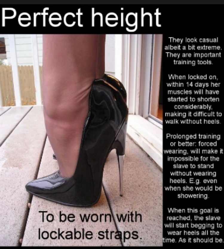 LexxiSissy's tweet photo. Sissies should be trained in the highest of heels. Lockable, preferably. 😈 https://t.co/mHPf7bXPLC