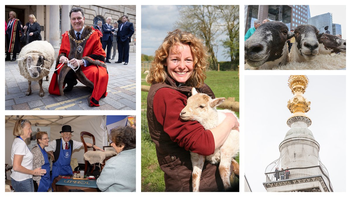 SheepDriveLDN's tweet photo. Date for your diary! #LiveryFair with guests @citylordmayor &amp; #KateHumble - Sunday 25th Sept on the piazza at #VisitTheMonument Wonderful traditional trades &amp; crafts #wool stalls &amp; #sheep 
See ewe there! #DestinationCity https://t.co/3d5K5JvPHk
#VisitTheCity @CityandLivery https://t.co/AYlnKYyFEW