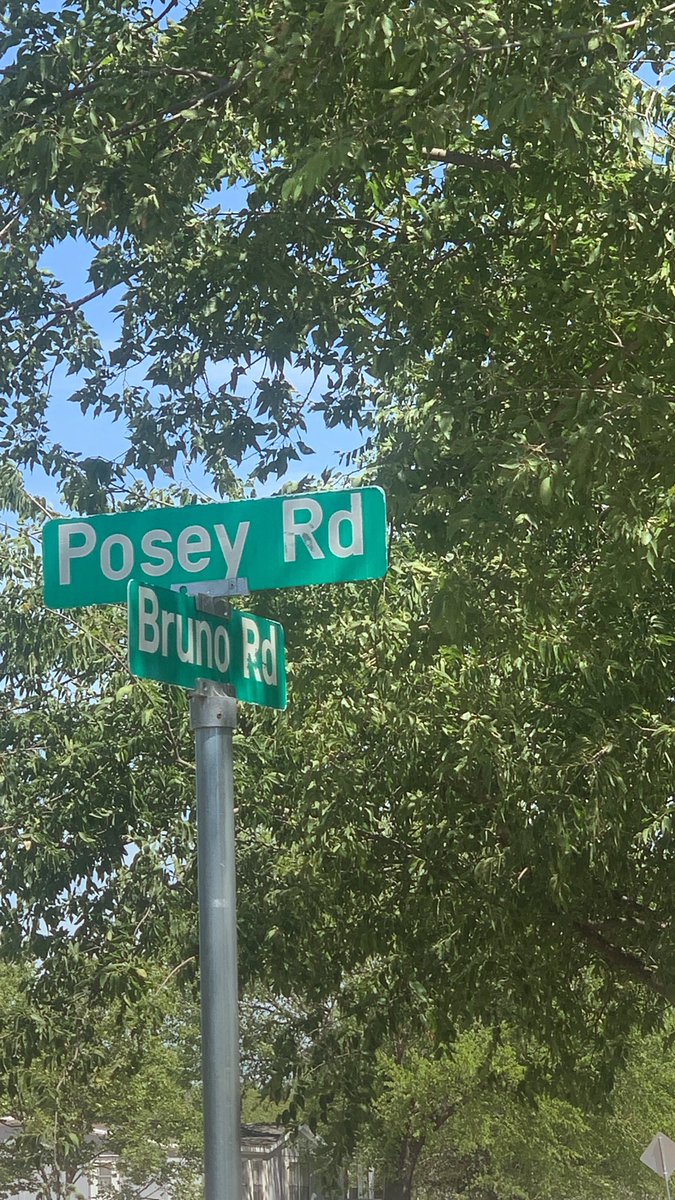 We don’t talk about Bruno! #clesbestyearyet @School_Jones  <a href="/lisarcrosslin/">Lisa Crosslin, EdD</a> <a href="/ClaraLoveES/">Clara Love Elementary</a>