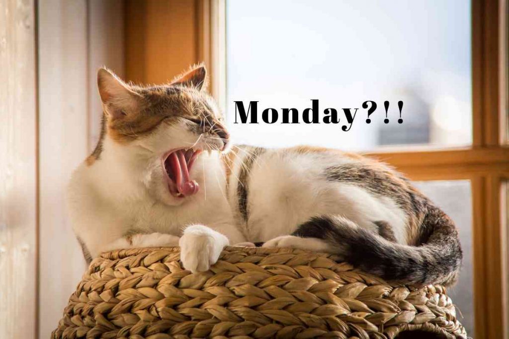 FZq0JlbXoAIfe0H.jpg:large