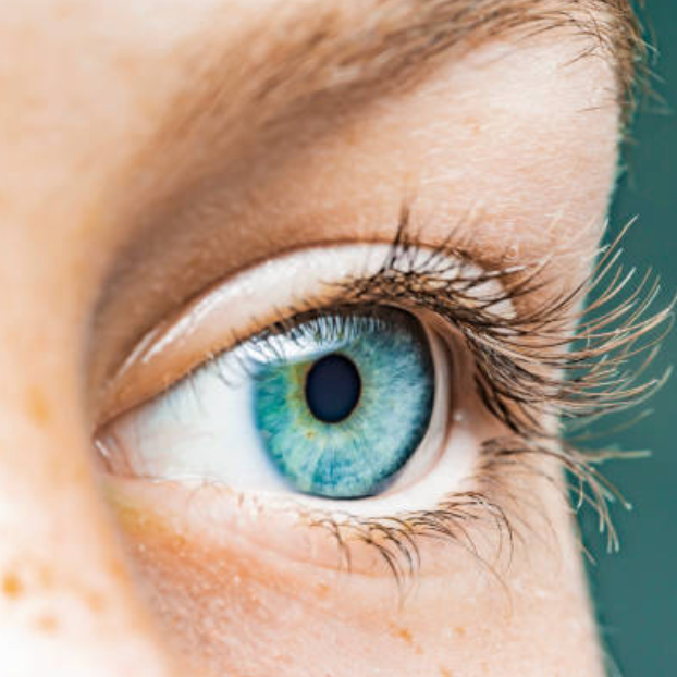 diabetessisters's tweet photo. Learn to Maintain Your Eye and Vision Health with Diabetes, including risks for problems  and steps to prevent damage, in this @diaTribeNews article. Our Director of Operations, Sarah, gives her PWD perspective! https://t.co/Wi3KNZtytI #DSistersInAction #TalkAboutComplications https://t.co/1ppo6hYgh1