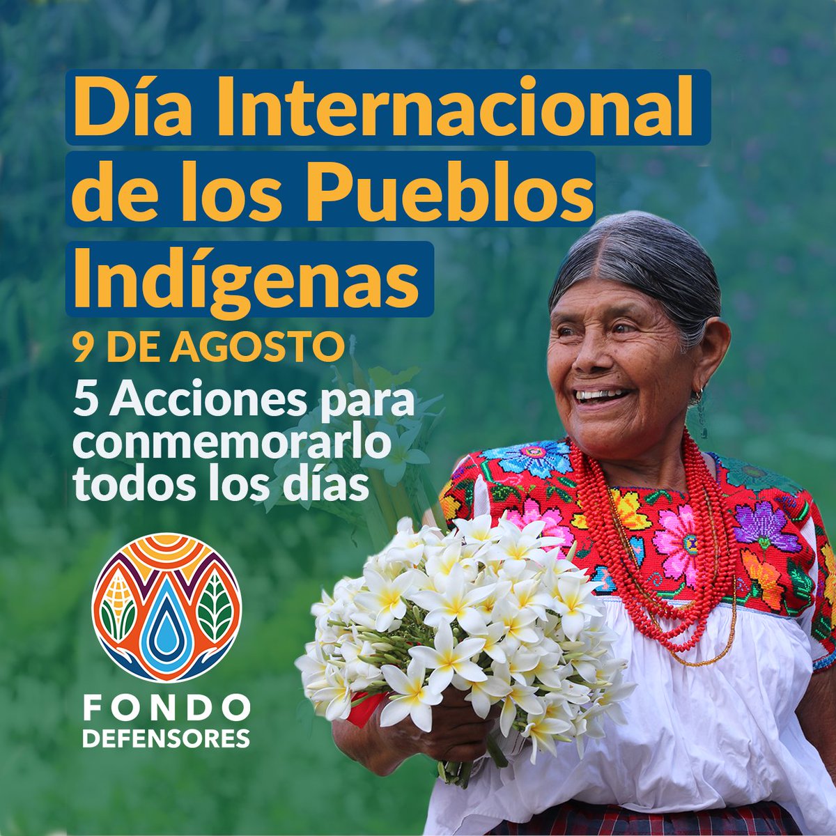 Hoy es el día internacional de los #PueblosIndígenas y te compartimos 🧵 con 5 acciones para conmemorar sus aportaciones al mundo.  

Juntos #SembramosEsperanza  #FondoDefensores.
fondodefensores.org #WeAreIndigenous