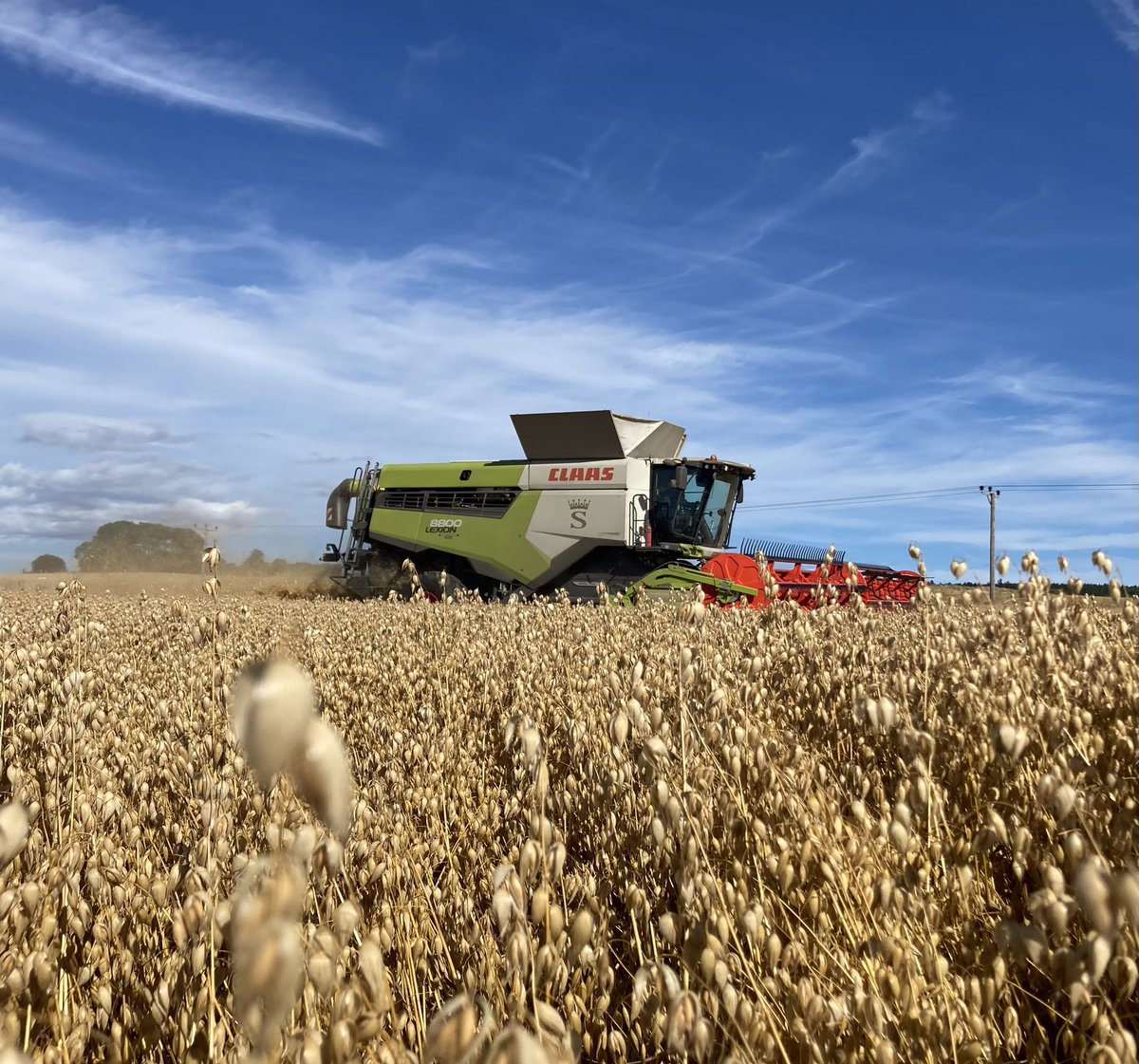 Winter Oats all cut with <a href="/SenovaLtd/">Senovaltd</a> Dalguise averaging 7.9t/ha. These oats are destined for <a href="/Quaker/">Quaker Oats</a> grown with <a href="/GraincoS/">GrainCo Scotland</a> #harvest22 <a href="/CLAAS_UK/">CLAASUK</a> <a href="/SellarsAgricul1/">Sellars Agriculture</a>