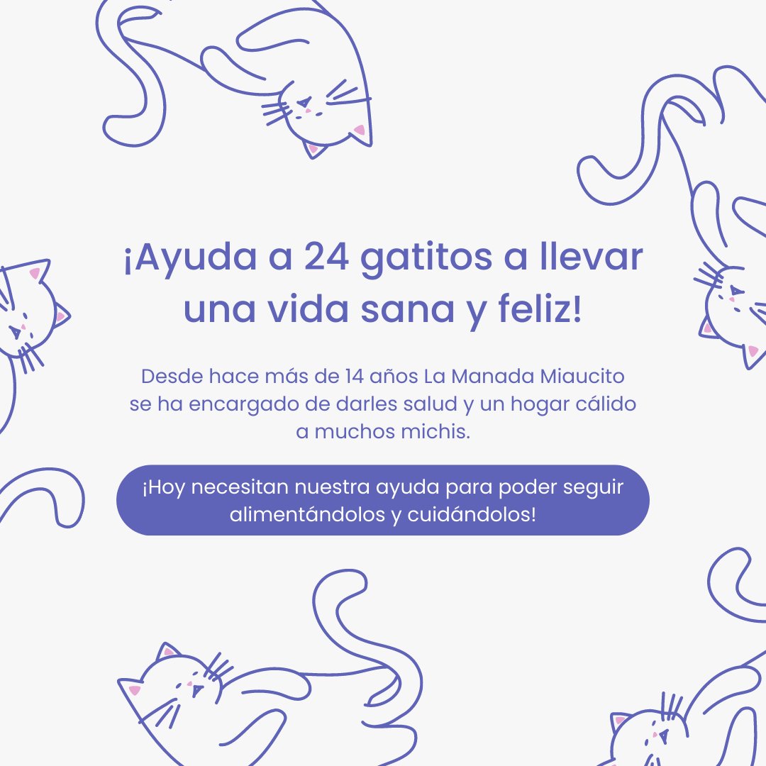 yakeraorg's tweet photo. Si me preguntaran que es lo más lindo y suavecito que se viene primero a mi mente...obvio, ✨michis✨

¡Ayuda hoy a La Manada Miaucito a alimentar y cuidar a 24 de ellos! 🐱

Leer más y aporta: https://t.co/3dHpIH6O3I🧡

Recuerda que cualquier granito de arena de gato cuenta 🙌🏼 https://t.co/v2cqW5NHJR