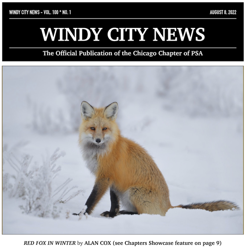 ChapterPsa's tweet image. New newsletter issue came out today. Check your email! #CCPSA #WindyCityNews #PSAChicagoChapter