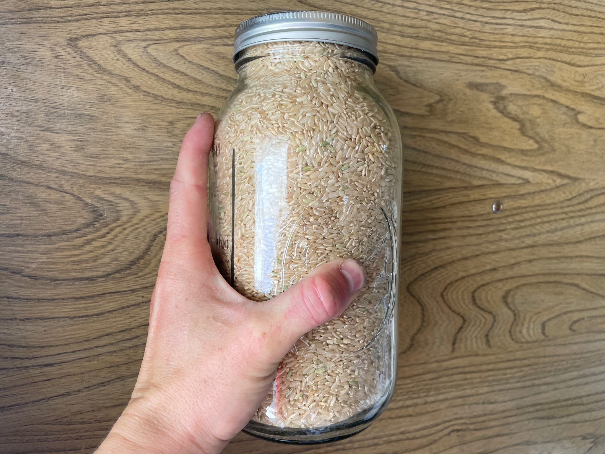 Cody on Twitter "New rule all food goes into glass or metal. It’s