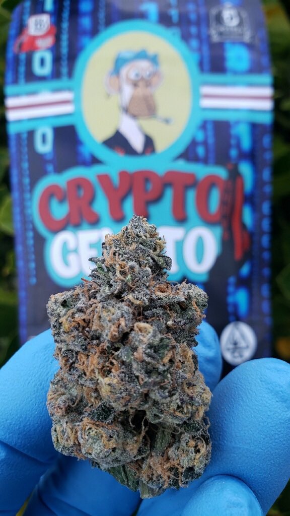 Crypto Gelato #CryptoGelato #TheBackpackBoyz #BackpackBoyz