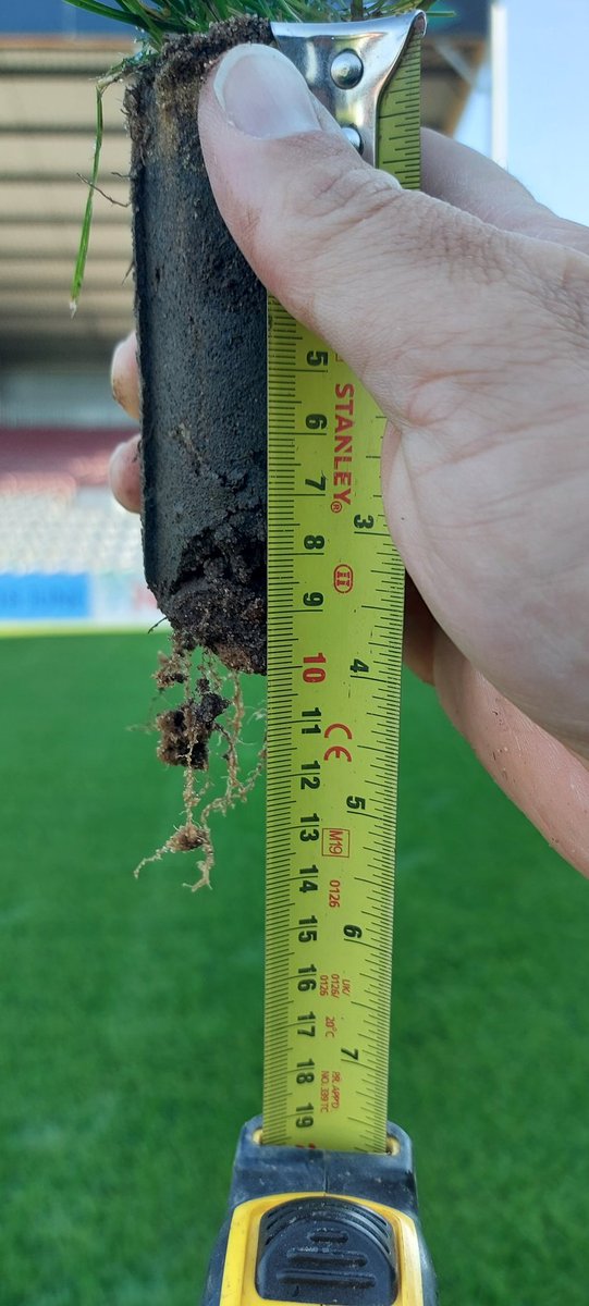 GreenWitch81's tweet photo. Pitch just over 5 weeks from seed. Today we had a little look underneath the surface to check and collect data. Roots are healthy and driving down, moisture levels good and a nice canopy of grass coverage 🏉🌱💪 @gras_pro @consolidateTurf @Quadropdosing https://t.co/QsuAgWCcbi