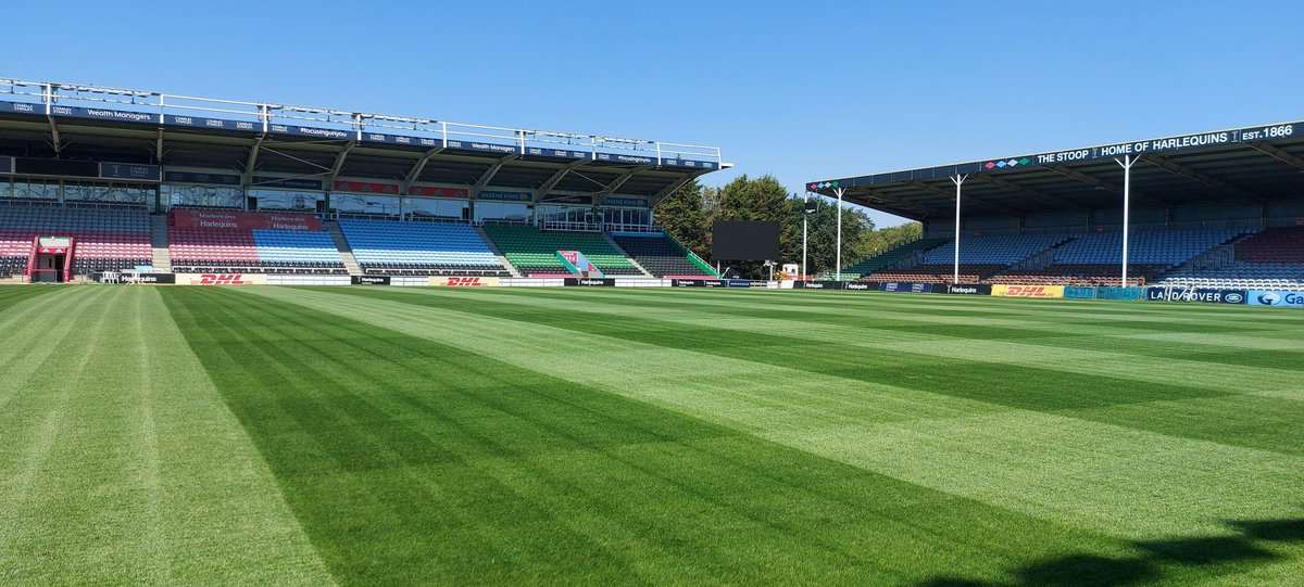 GreenWitch81's tweet photo. Pitch just over 5 weeks from seed. Today we had a little look underneath the surface to check and collect data. Roots are healthy and driving down, moisture levels good and a nice canopy of grass coverage 🏉🌱💪 @gras_pro @consolidateTurf @Quadropdosing https://t.co/QsuAgWCcbi