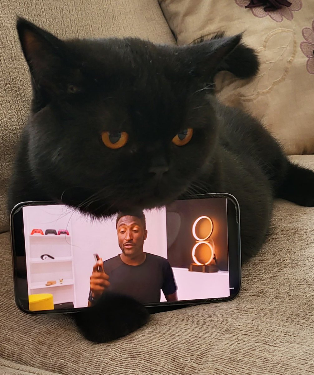 RashadAliyevE's tweet photo. How to watch @MKBHD https://t.co/qvNhV4hEpX