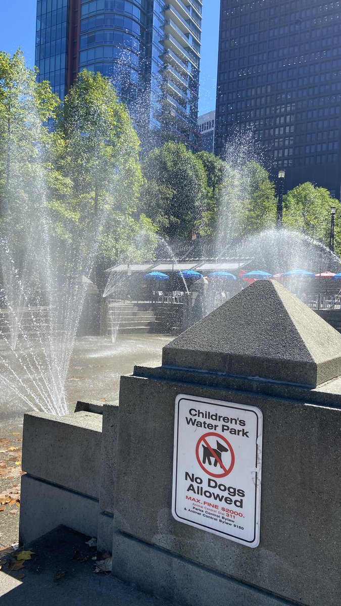 TTtheTRex2's tweet photo. 見て覚える英語🇨🇦
#今日も快晴
#英語　楽しく
#カナダ https://t.co/gqzw7TQXHJ