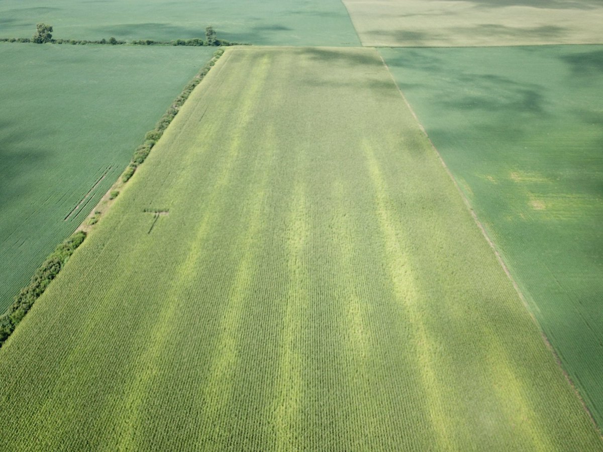 stephmels's tweet photo. Spinner spreaders should be outlawed. I see this on multiple fields every year and the problem is always ‘fixed’ for the next time https://t.co/MWcBxQ9DAr