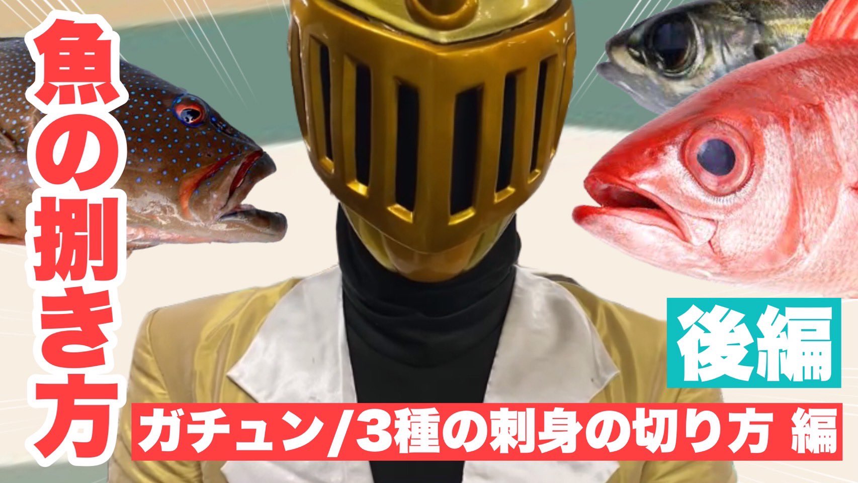 魚さばく Twitter Search Twitter