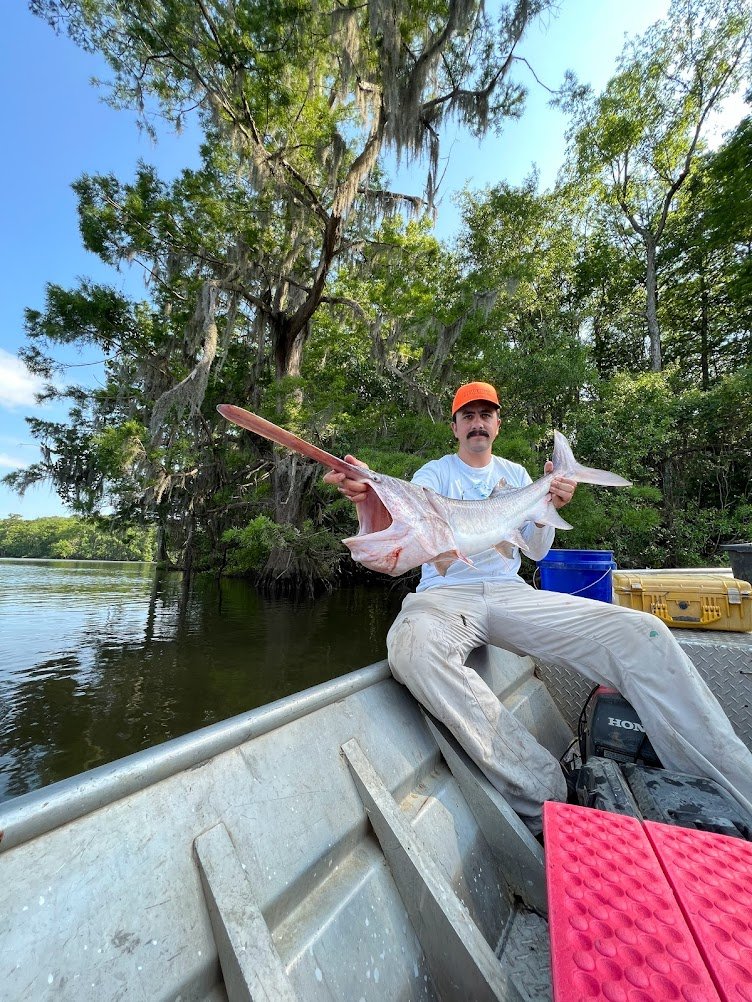 spoonbill_hank's tweet photo. please RT: my advisors are hiring postdocs and grad students at Auburn! we work in lots of disciplines (ecophys, mvmt ecology, telemetry, microchemistry, etc.) flexible project design for applicants. migrate to beautiful alabama! https://t.co/YaYC6pBqYP
https://t.co/RfYRn3rYqo https://t.co/GjaXMP7FsT