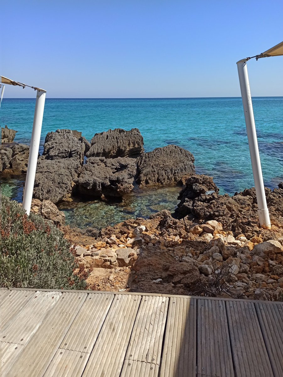 dopamine_eth's tweet photo. Bonjour à tous, désolé de mon inactivité, je pars en vacances tout l'été après 2 ans sans repos
En septembre on reprends tout ⛄ https://t.co/BC7OGotURv