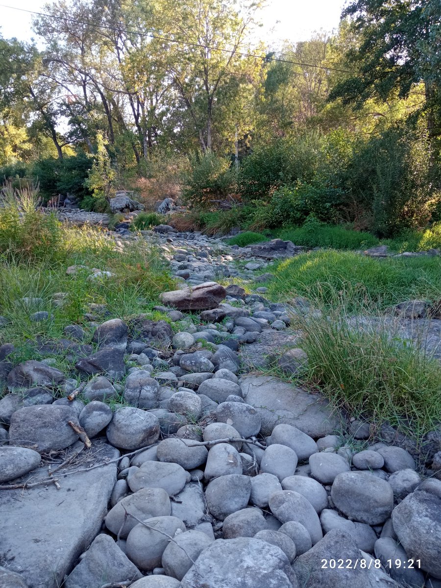 angelfogg's tweet photo. Donde se queda el agua del Jerte? https://t.co/3WJJwL18gO