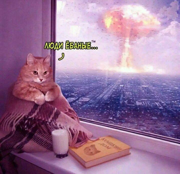 fucking people...