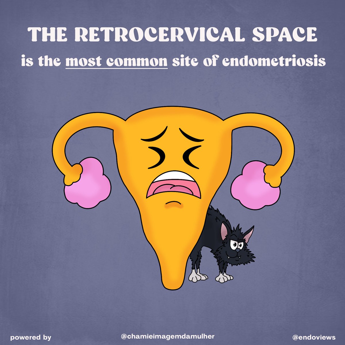 lucianachamiec1's tweet photo. Embrace the cause of the early diagnosis of endometriosis! Include the search for DE in your routine TVS! @endoviews @izabelapfranco @WendalineVB @PriyankaJhaMD @ScottWYoungMD @FeldmanMyra @LiinaPoder @phyllisglanc @yvettegroszmann @KhoRosanne @ShuchiRodgers @MathewLeonardi https://t.co/Z427P0E7gk