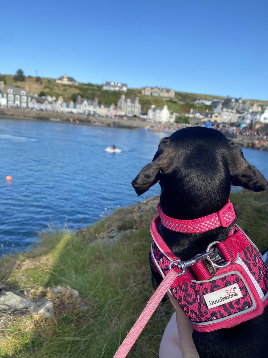 A much needed and thoroughly enjoyed family break to Portpatrick, Scotland 🤍