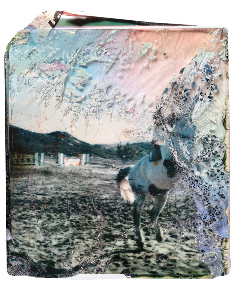 Been cranking on a bunch of new work, work in progress #polaroid #NFT