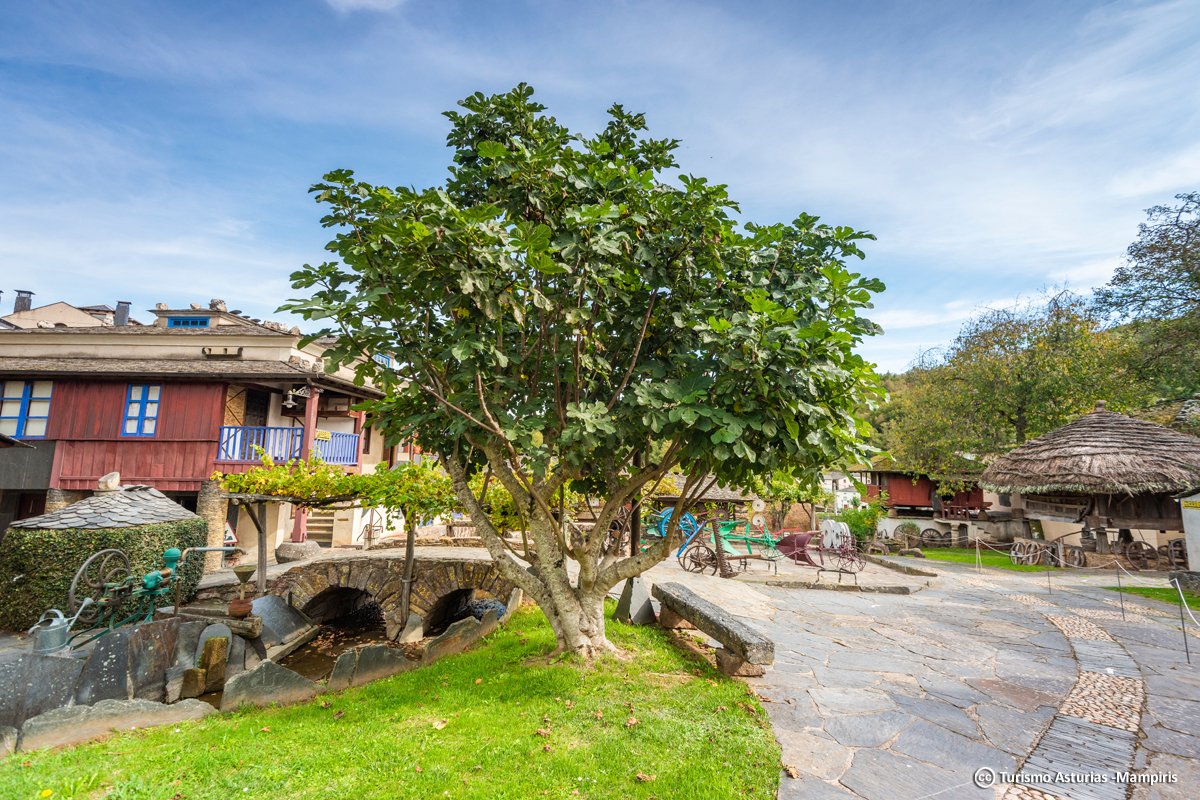 TurismoAsturias's tweet image. ¿Aún no has visitado @MuseoGrandas este verano?  ¡Pues no te pierdas las demostraciones de tornería, la visita guiada Hórreos, paneras y cabazos y su rincón de juegos tradicionales! 👉 ow.ly/p5tb50KeIap