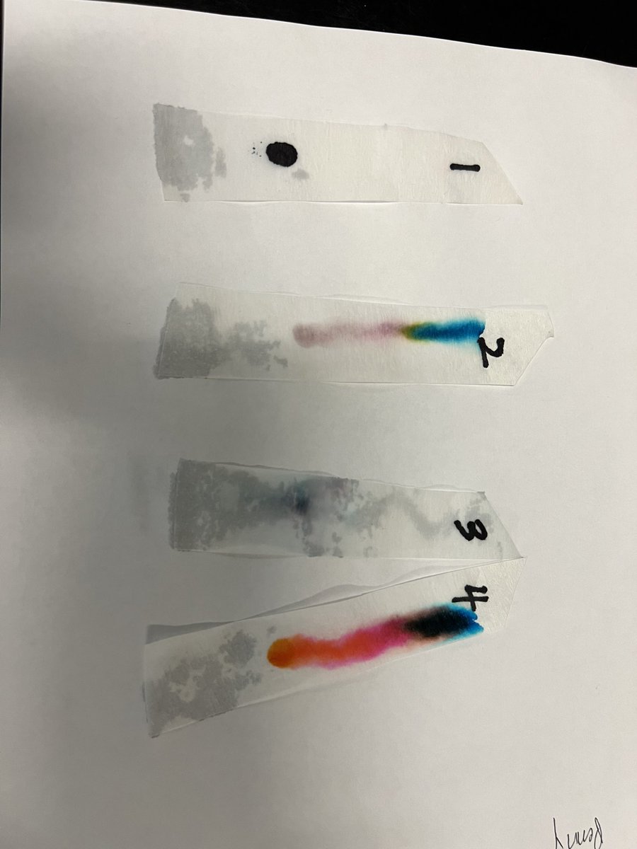 sciencewithmro's tweet photo. Pictures from Friday of day 1 of the Ink investigation. Students were using their skills of observation to investigate what is up with that ink? Day 2 today had students using evidence with their thinking to form conclusions. Thinking like a scientist in 1602! #owlscience2023 https://t.co/NsjziTSdzL