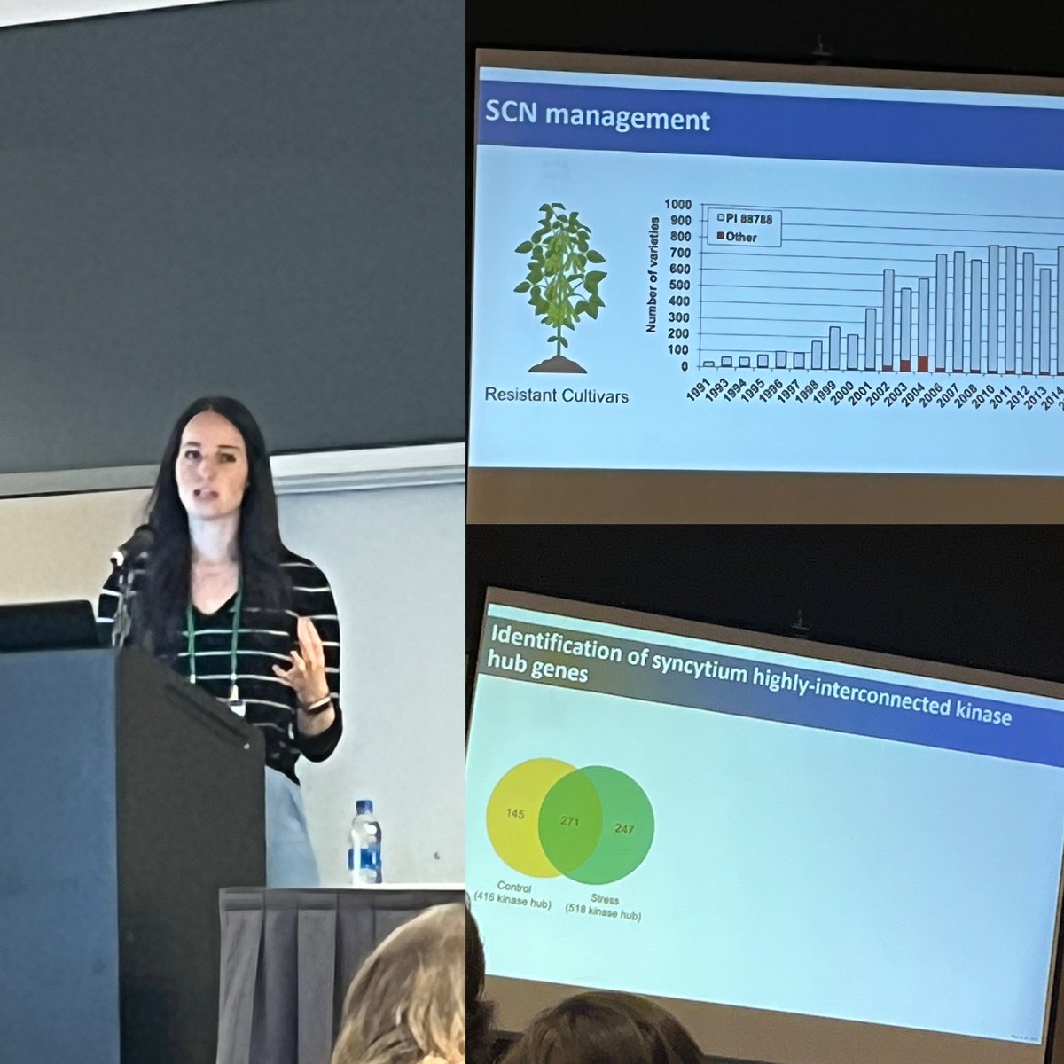 <a href="/tttracyhawk/">Tracy Hawk</a>  <a href="/sd_aps/">APS SouthernDivision</a>  2022 Graduate student competition winner sharing her winning work at the Plant Pathologists of the future Special Session at #PlantHealth2022