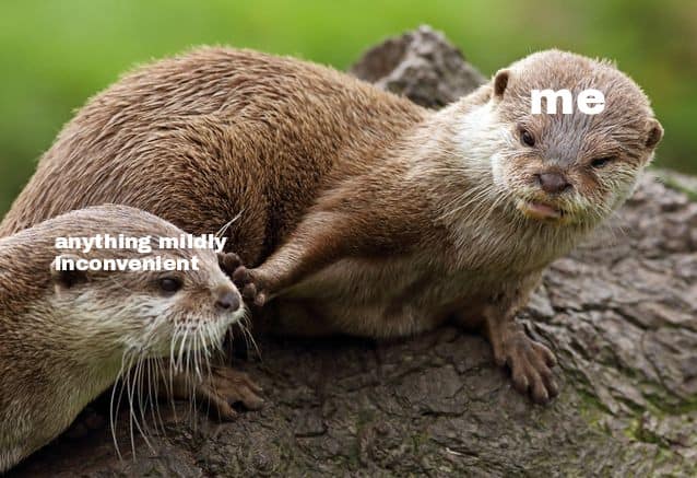 It's important to set boundaries!