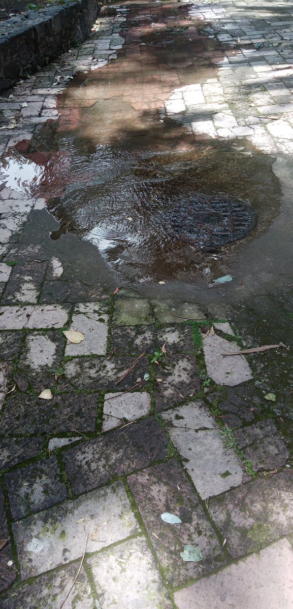 Moad73D's tweet image. Fuga de agua potable...en fuentes brotantes #Tlalpan