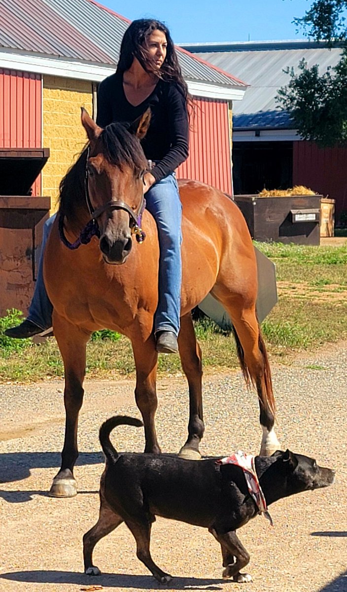 CC Perkinson tweet media