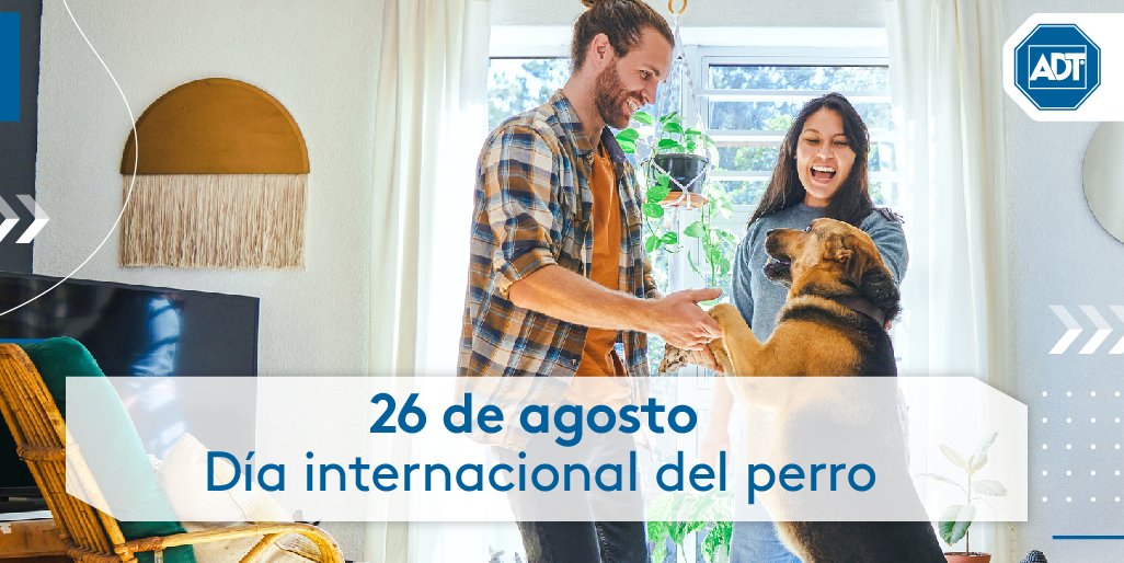 ¡Feliz día al guardián de la casa! 🐕🐩🐕‍🦺

A tu compañía infaltable y a quien nos ayuda a cuidar el hogar lo celebramos 🙌❤️

¡Contanos tu mejor experiencia con tu mascota!

#Perros #Mascostas #amorincondicional #adt #adtargentina #hogarseguro #seguridad
