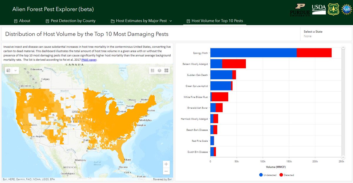 CNNF002's tweet image. Check out the Alien Forest Pest Explorer, an interactive tool providing pest distribution for 89 pests. Look by county, specific pest, or top 10 pests. #Pests #MappingTools mapsweb.lib.purdue.edu/AFPE/?_ga=2.19…