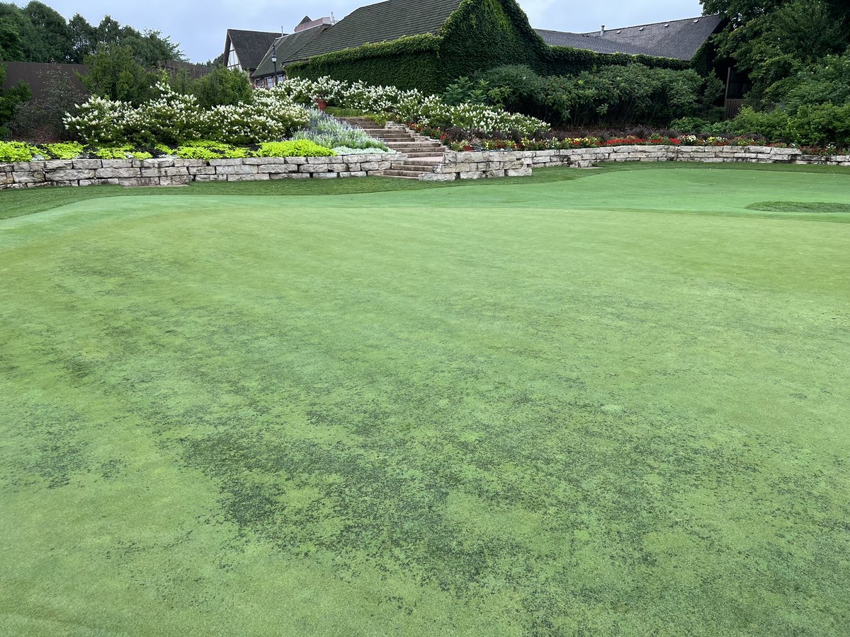 Wyatt Byrd tweet media