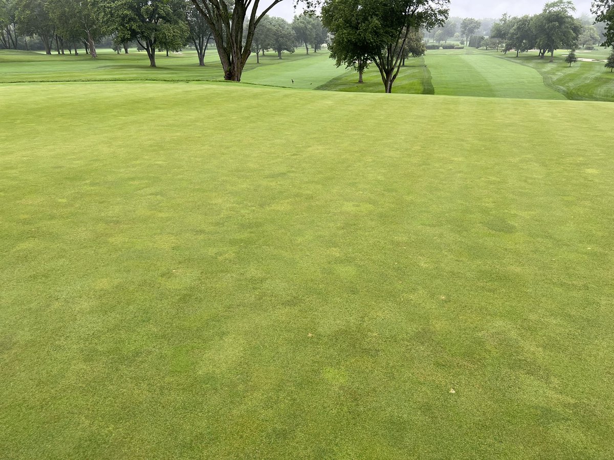 Wyatt Byrd tweet media