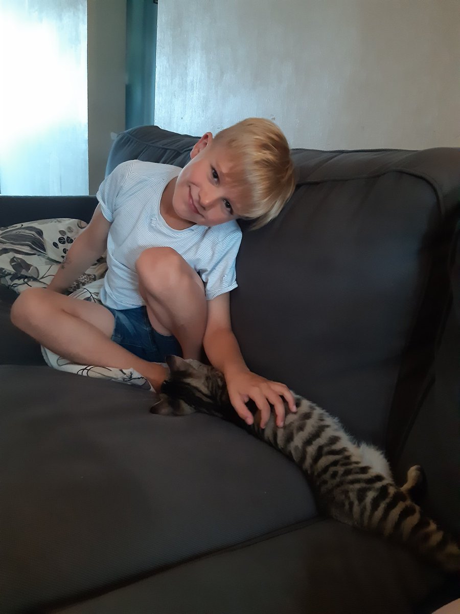 Birgit Verboven tweet media