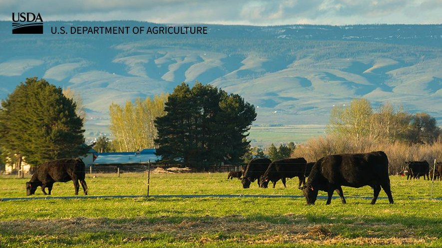 USDA_NRCS's tweet photo. .@USDA is investing $12 million in partnerships to support producers and increase conservation on grazing lands. We're accepting proposals until 9/22. https://t.co/OuErmtul4m https://t.co/YNZ1UKmORt
