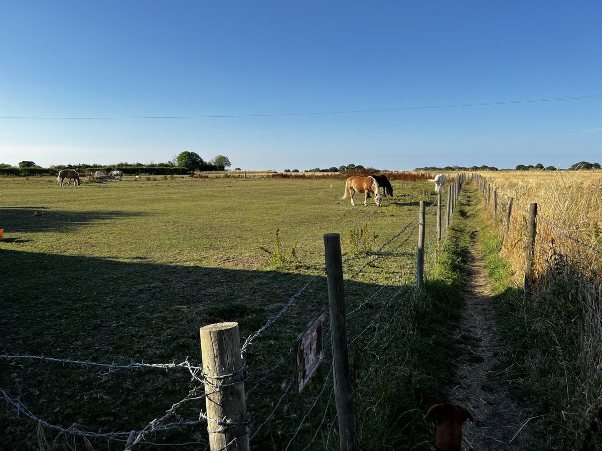 edwardbrindle's tweet photo. Great night for a walk to clear the head #Lincolnshire #wolds #nooneabout https://t.co/LX0qnnjhUF