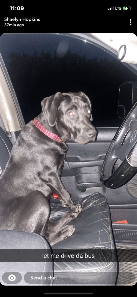 HoppyRob's tweet image. Piper’s first driving lesson