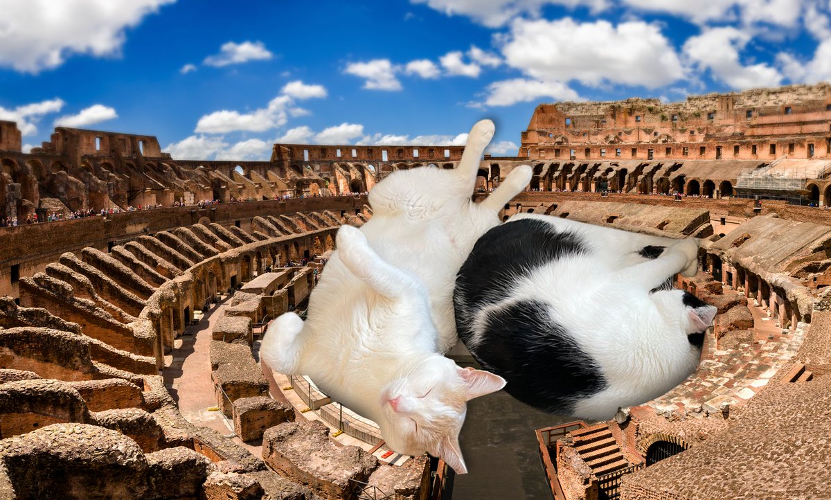 We fake sent 
@budandtony 
 cats to Rome. Post your cat w/ #AdventuresWithFriskies &amp; tag us! (Also, enter #sweeps at FriskiesGiveaway.com for a chance to win a REAL prize!) 

Happy #InternationalCatDay! Rules: FriskiesGiveaway.com/rules