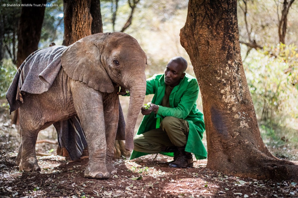 Which faces do you want to see in 2023? #Vote to have your say!

Choose your favourites from this thread – the 2 images with the most ‘likes’ by 10th Aug will be included in our 2023 #calendar. The remaining images will kept under wraps until it goes on sale later in the year.