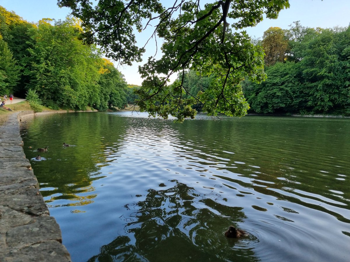 A perfect monday evening listening to old <a href="/BBCFooC/">BBCFooC</a> (feat 👑 <a href="/Beth_LeahT/">Beth Timmins</a>) in the park

bbc.co.uk/programmes/m00…