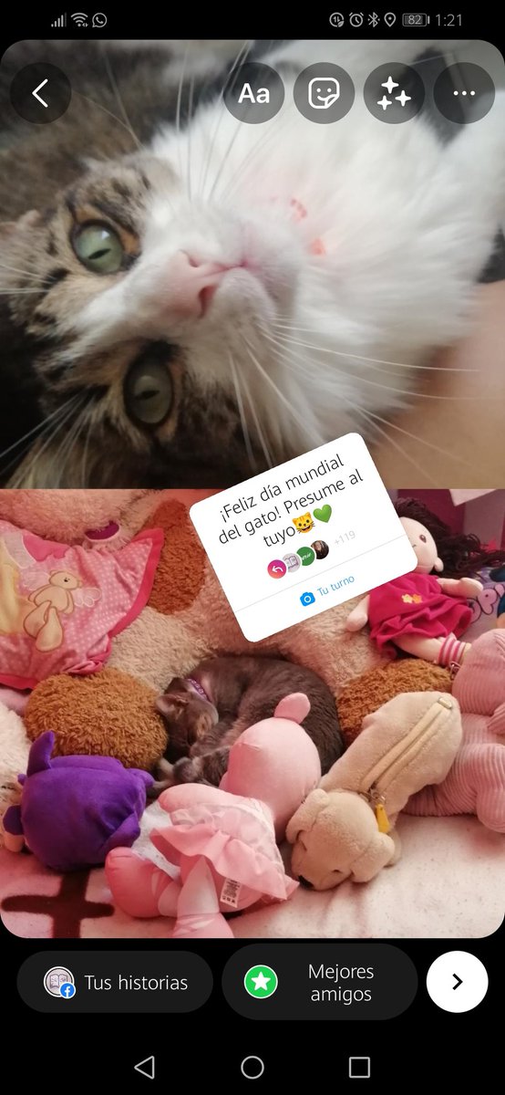 BooksMeraki's tweet image. Feliz día del michi!!! 😻🐈