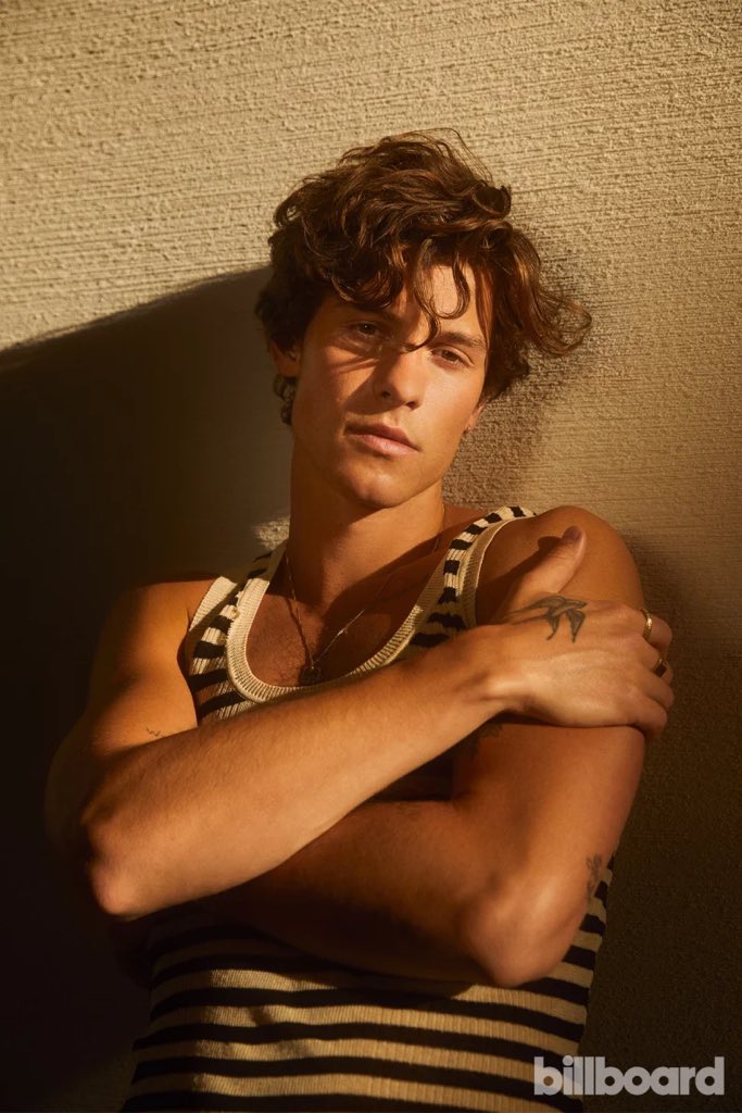 Happy birthday to Shawn Mendes and his jaw and smolder 