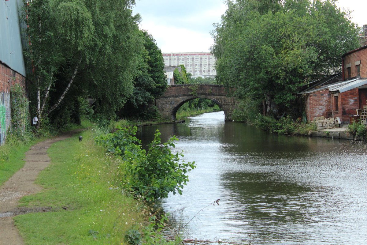 BridgesCanal's tweet photo. Bacon Lane Bridge No 6 .. Sheffield & Tinsley Canal #Attercliffe #Sheffield @CanalRiverTrust #SouthYorkshire #canalbridge #canalwalks https://t.co/SurR34QI9B