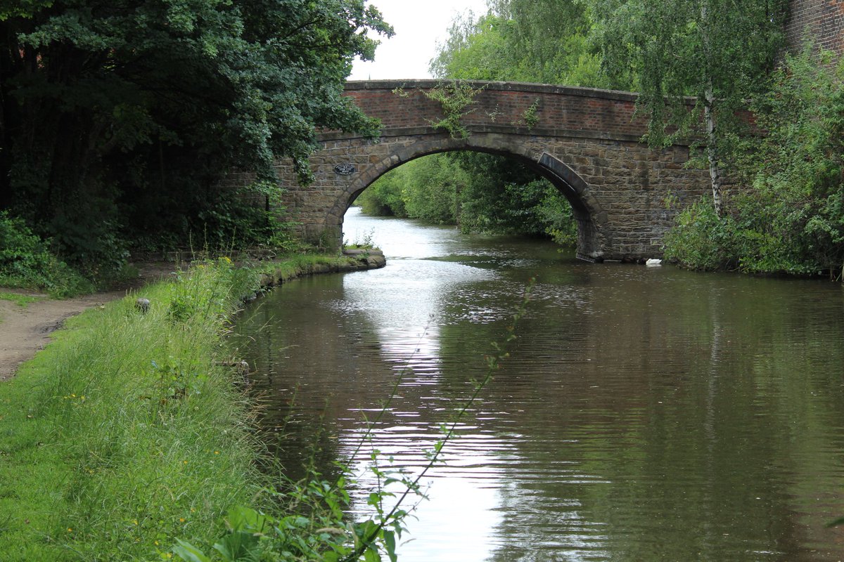 BridgesCanal's tweet photo. Bacon Lane Bridge No 6 .. Sheffield & Tinsley Canal #Attercliffe #Sheffield @CanalRiverTrust #SouthYorkshire #canalbridge #canalwalks https://t.co/SurR34QI9B